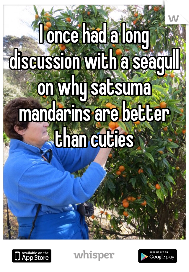 I once had a long discussion with a seagull on why satsuma mandarins are better than cuties