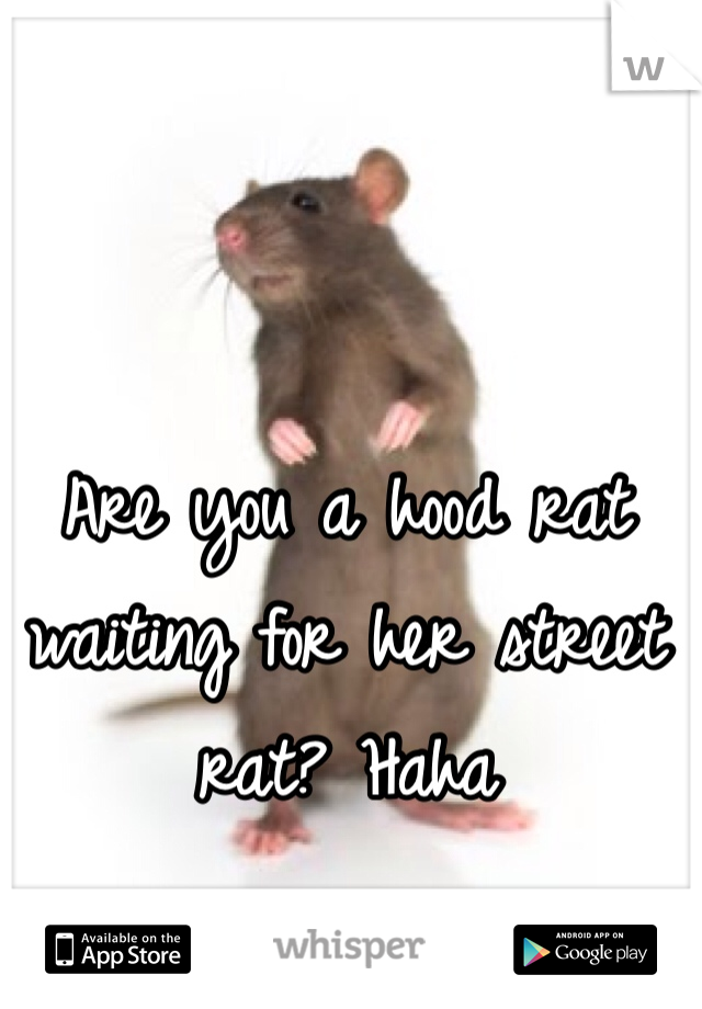 Are you a hood rat waiting for her street rat? Haha