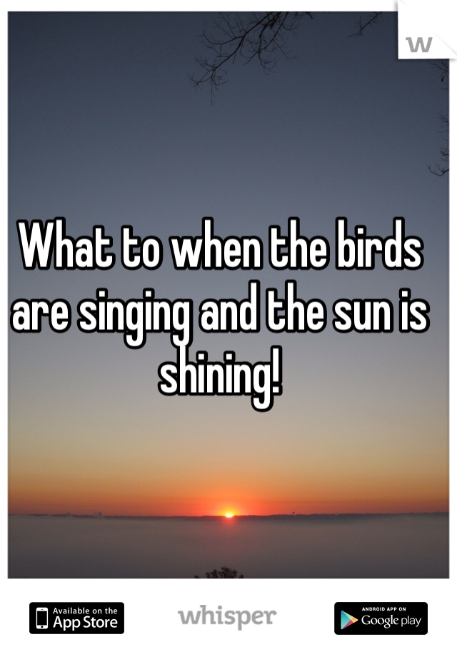What to when the birds are singing and the sun is shining!