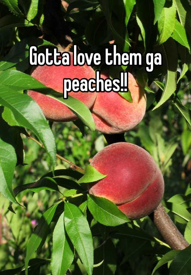 Gotta Love Them Ga Peaches