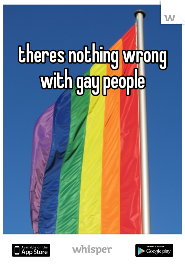 theres nothing wrong with gay people