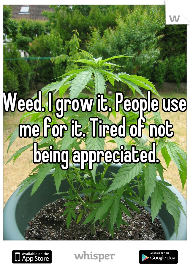 Weed. I grow it. People use me for it. Tired of not being appreciated.