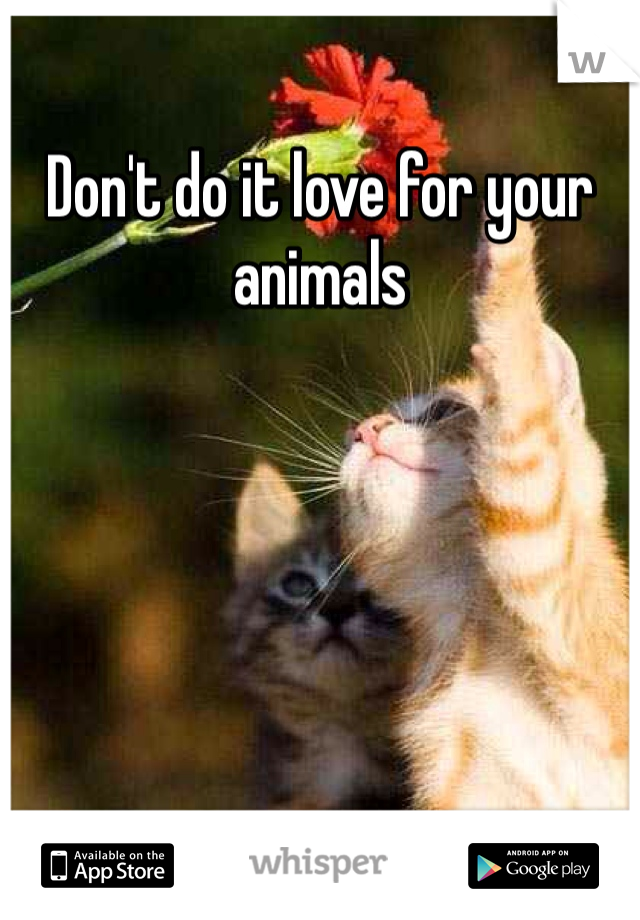 Don't do it love for your animals 
