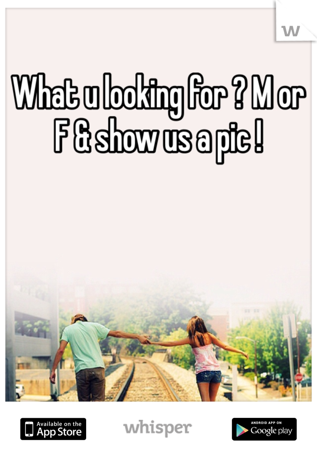 What u looking for ? M or F & show us a pic !