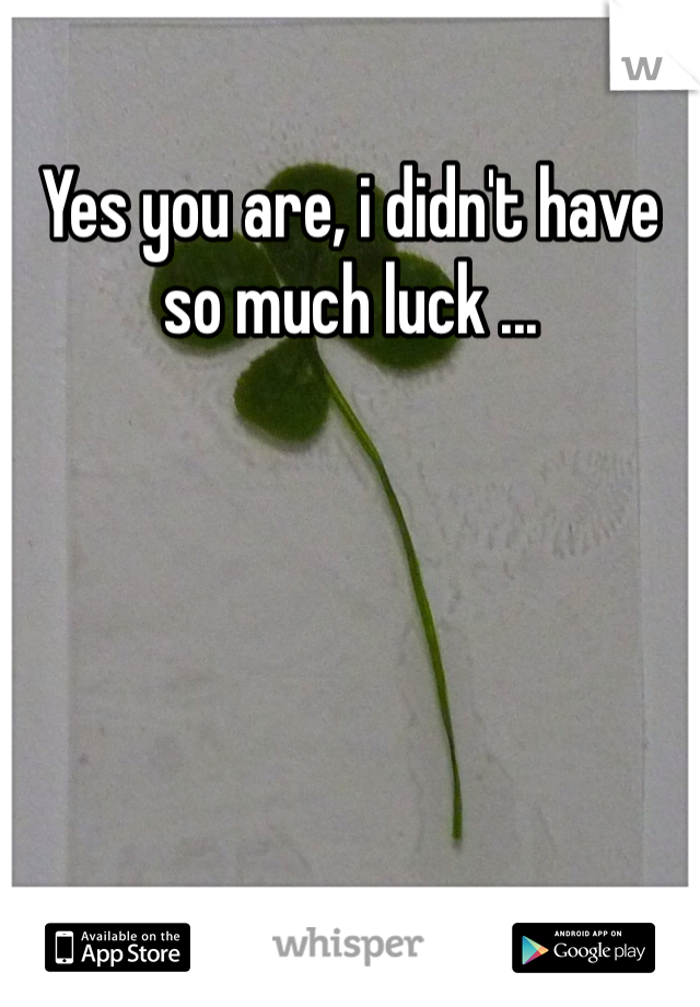 Yes you are, i didn't have so much luck ... 