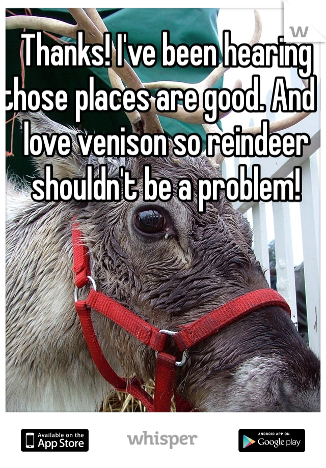 Thanks! I've been hearing those places are good. And I love venison so reindeer shouldn't be a problem!