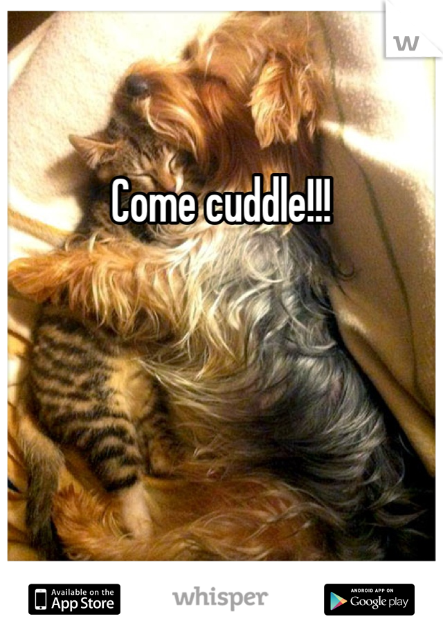 Come cuddle!!!