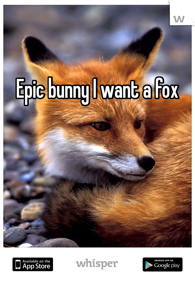 Epic bunny I want a fox 