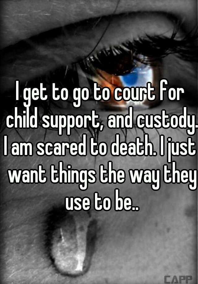 i-get-to-go-to-court-for-child-support-and-custody-i-am-scared-to