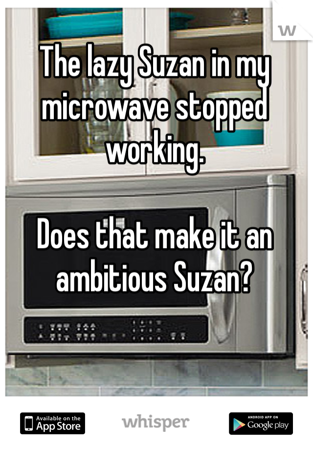 The lazy Suzan in my microwave stopped working. 

Does that make it an ambitious Suzan?