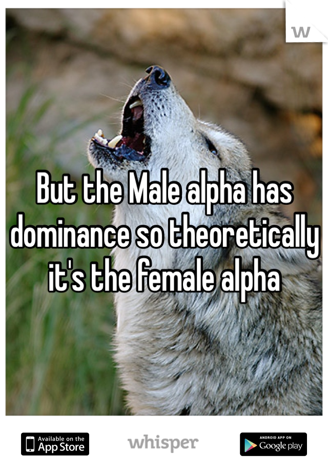 But the Male alpha has dominance so theoretically it's the female alpha