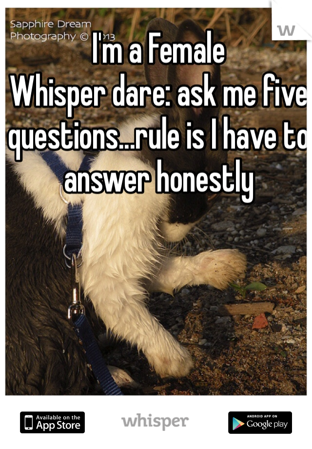 I'm a Female
Whisper dare: ask me five questions...rule is I have to answer honestly