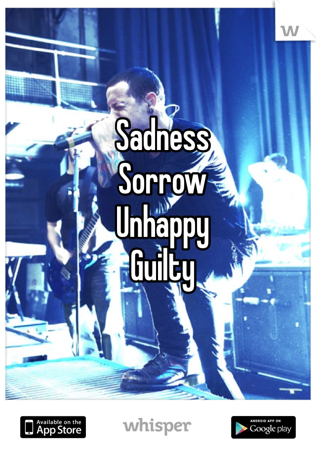Sadness 
Sorrow 
Unhappy 
Guilty  