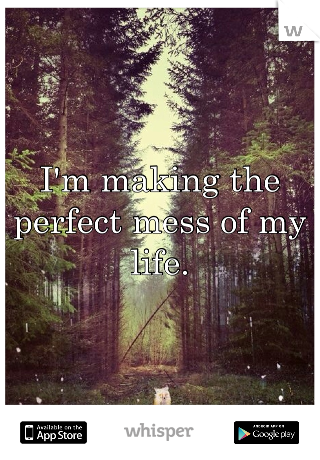 I'm making the perfect mess of my life. 
