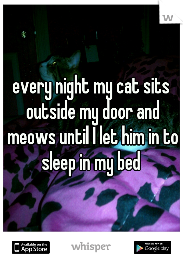 every night my cat sits outside my door and meows until I let him in to sleep in my bed 
