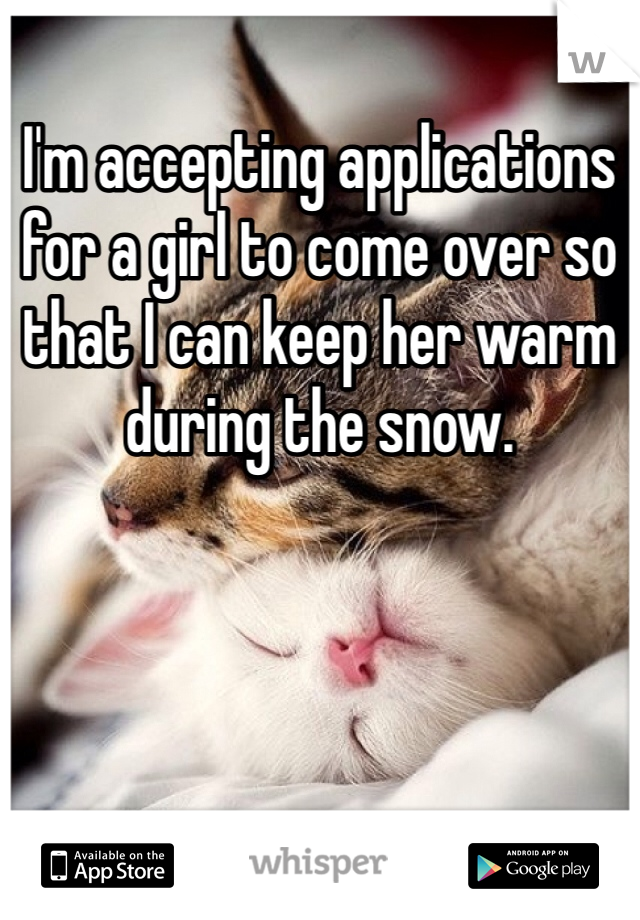 I'm accepting applications for a girl to come over so that I can keep her warm during the snow. 