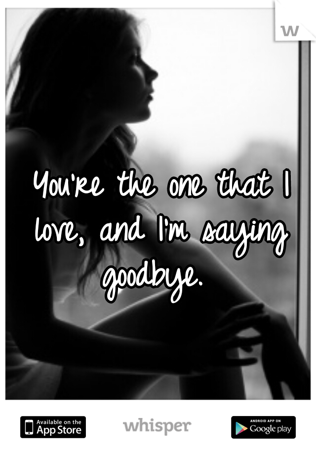  You're the one that I love, and I'm saying goodbye. 