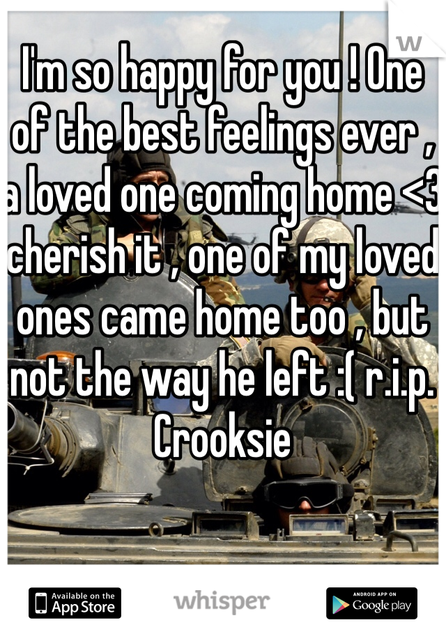 I'm so happy for you ! One of the best feelings ever , a loved one coming home <3 cherish it , one of my loved ones came home too , but not the way he left :( r.i.p. Crooksie 