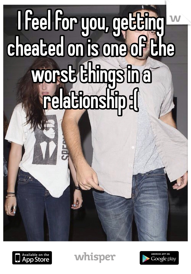 I feel for you, getting cheated on is one of the worst things in a relationship :( 