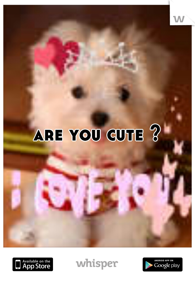 are you cute ?