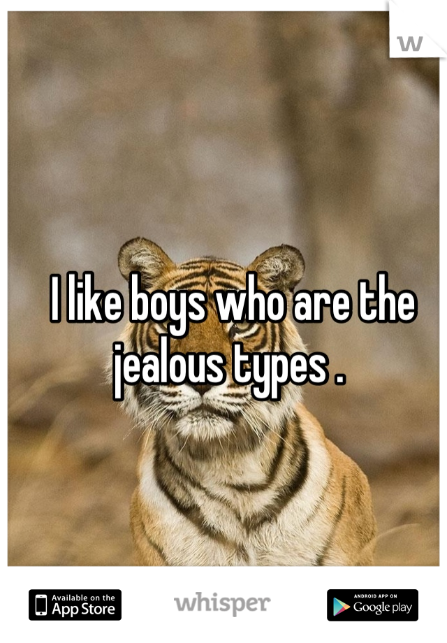 I like boys who are the jealous types . 