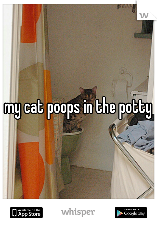 my cat poops in the potty