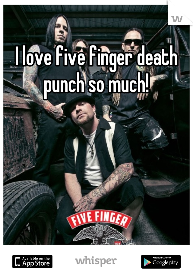 I love five finger death punch so much!