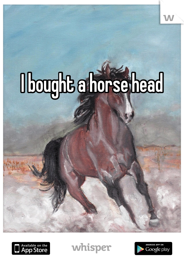 I bought a horse head