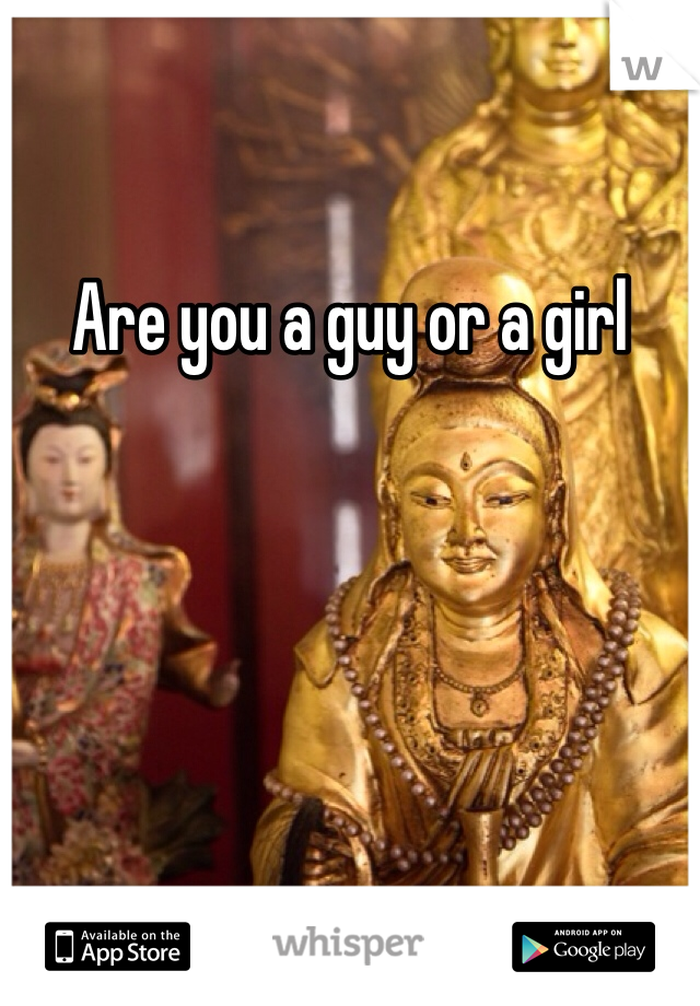 Are you a guy or a girl 
