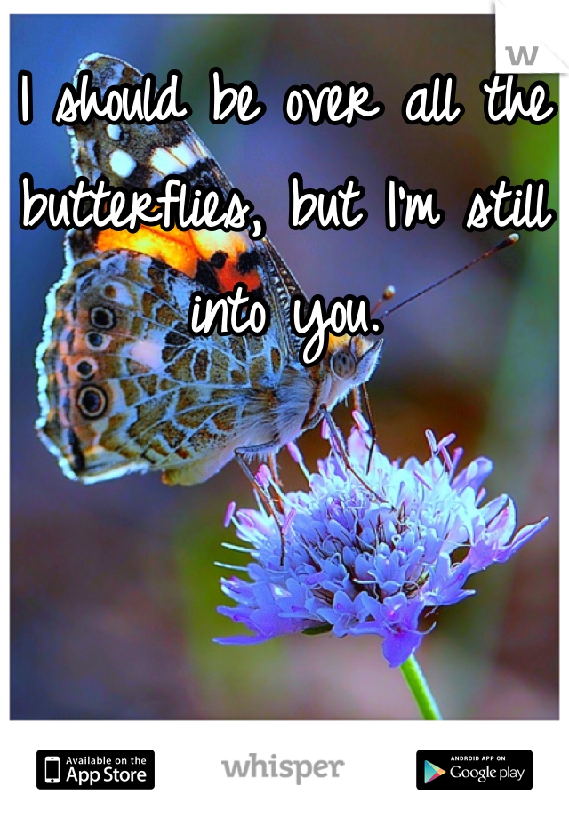 I should be over all the butterflies, but I'm still into you.