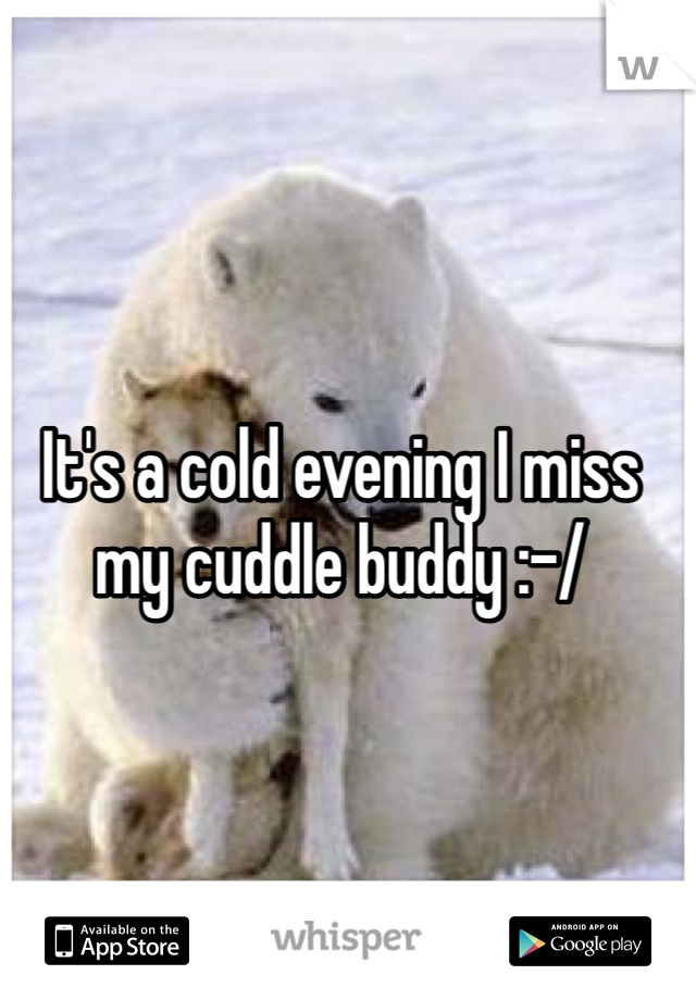 It's a cold evening I miss my cuddle buddy :-/