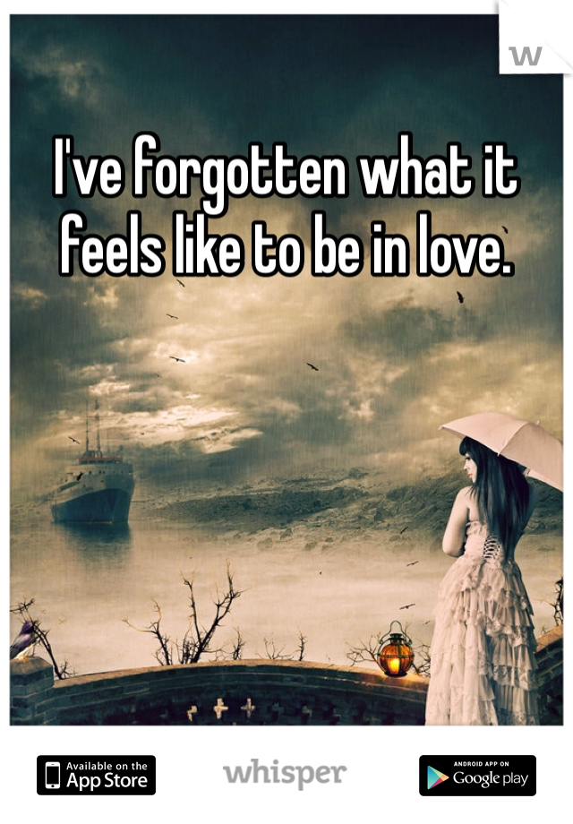 I've forgotten what it feels like to be in love.