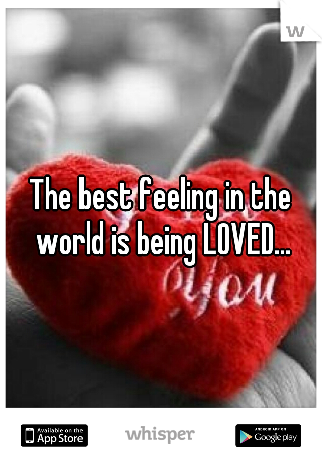 The best feeling in the world is being LOVED...