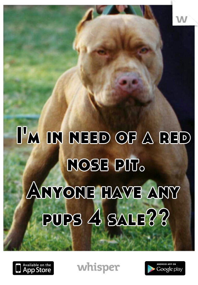 I'm in need of a red nose pit.
Anyone have any pups 4 sale??