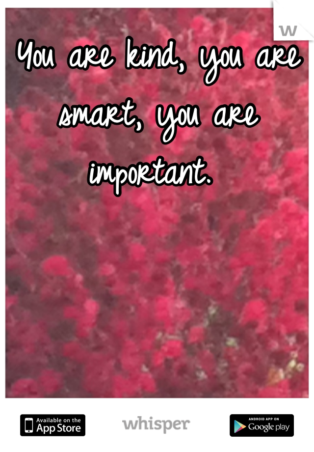 You are kind, you are smart, you are important. 