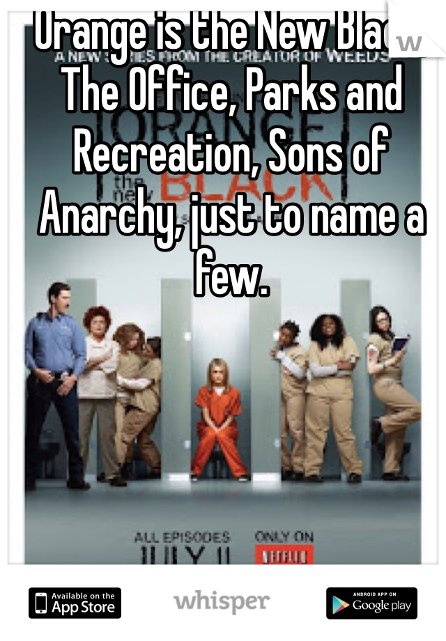 Orange is the New Black, The Office, Parks and Recreation, Sons of Anarchy, just to name a few. 