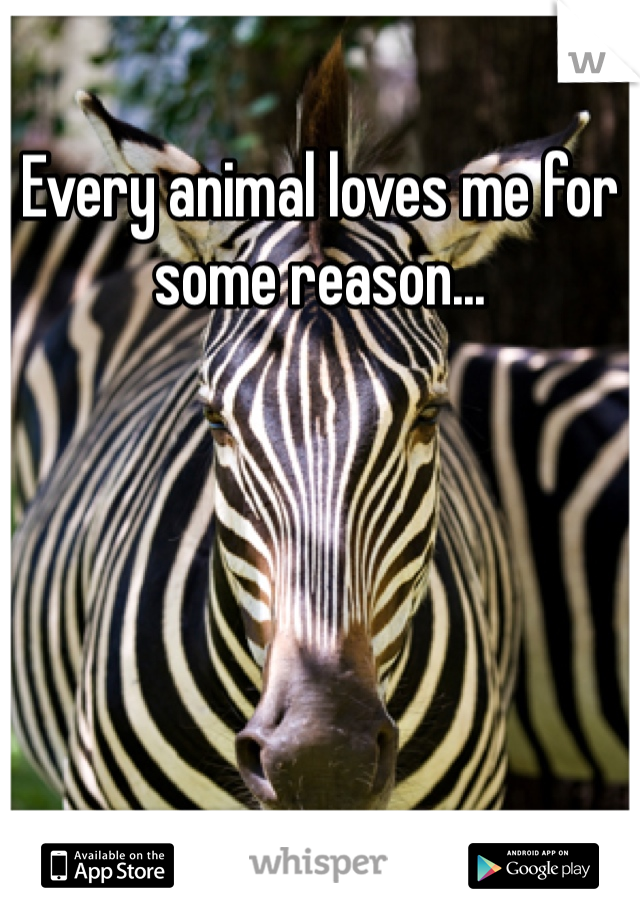 Every animal loves me for some reason... 