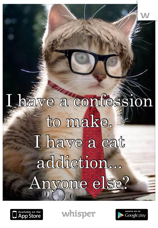 
I have a confession to make. 
I have a cat addiction... 
Anyone else?