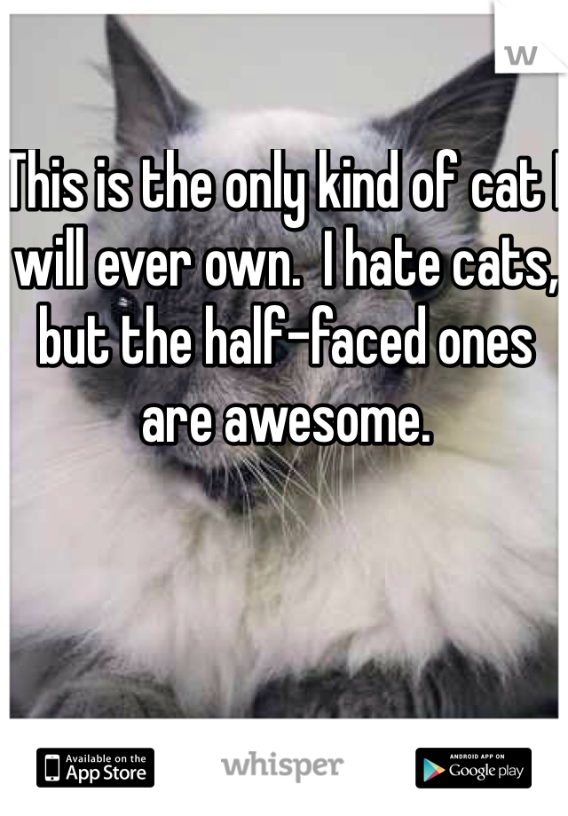 This is the only kind of cat I will ever own.  I hate cats, but the half-faced ones are awesome.  
