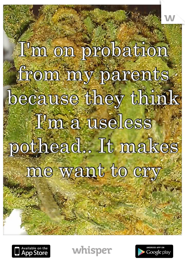 I'm on probation from my parents because they think I'm a useless pothead.. It makes me want to cry 