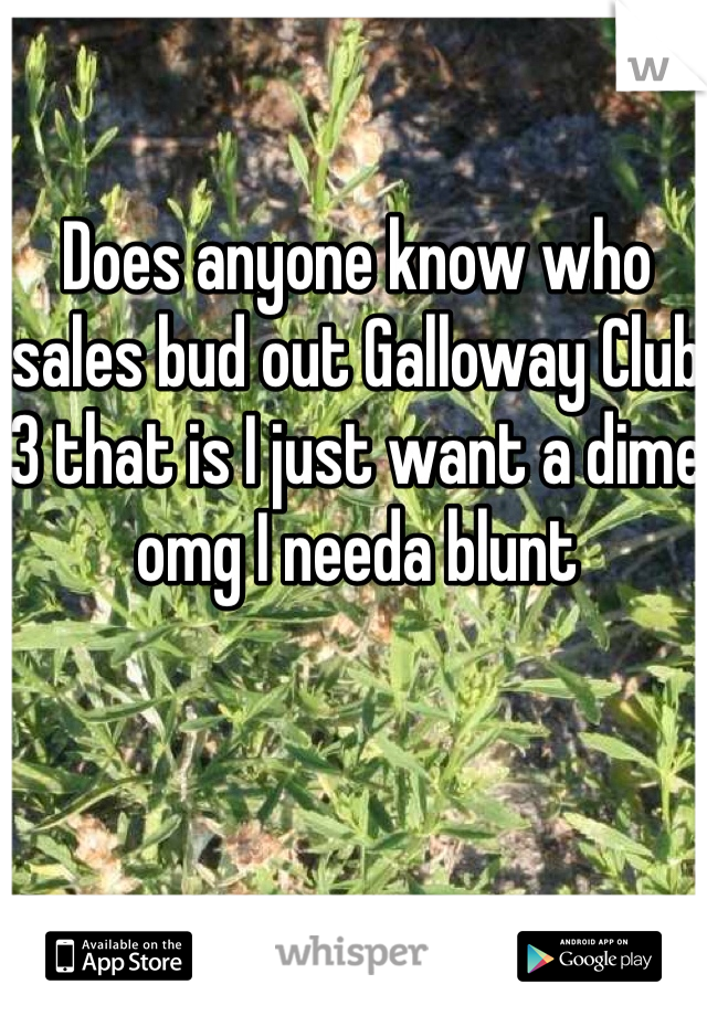 Does anyone know who sales bud out Galloway Club 3 that is I just want a dime omg I needa blunt 