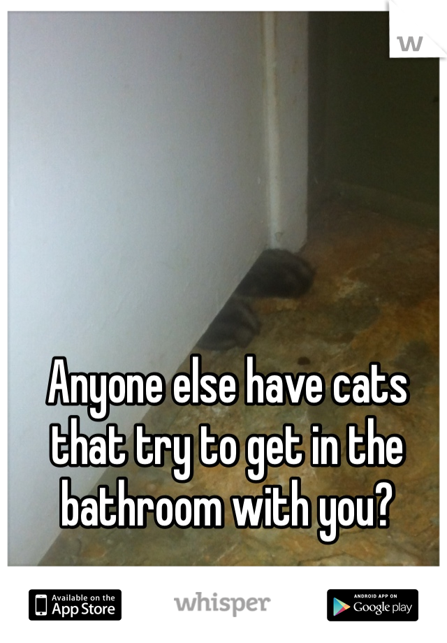 Anyone else have cats that try to get in the bathroom with you? 