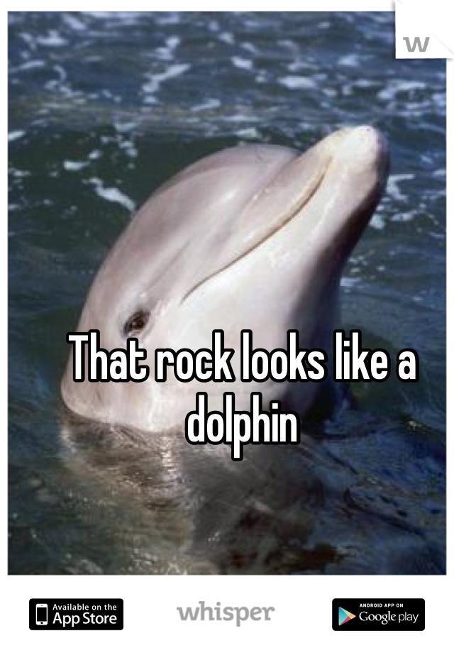 That rock looks like a dolphin
