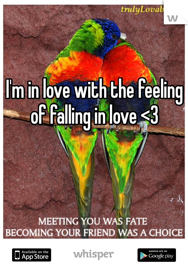 I'm in love with the feeling of falling in love <3