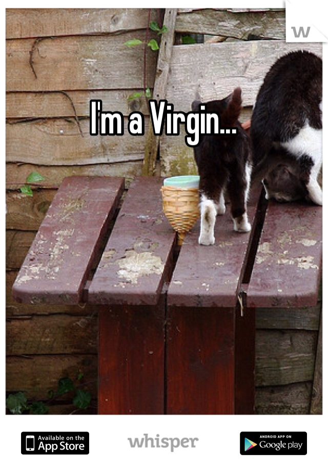 I'm a Virgin... 
