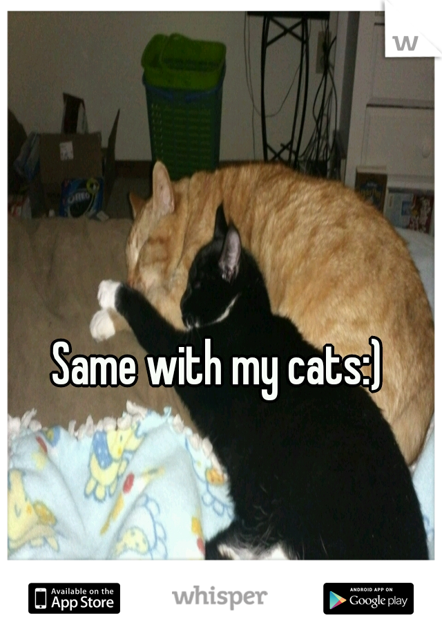 Same with my cats:)