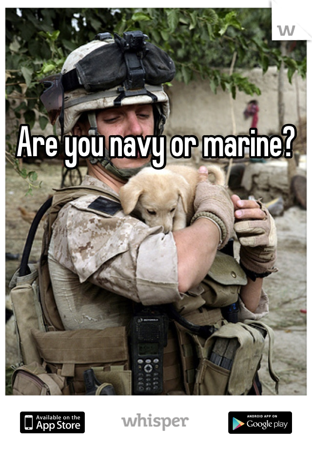 Are you navy or marine?