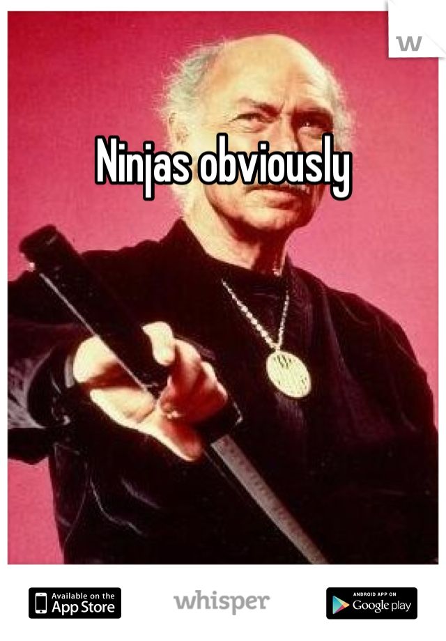 Ninjas obviously 