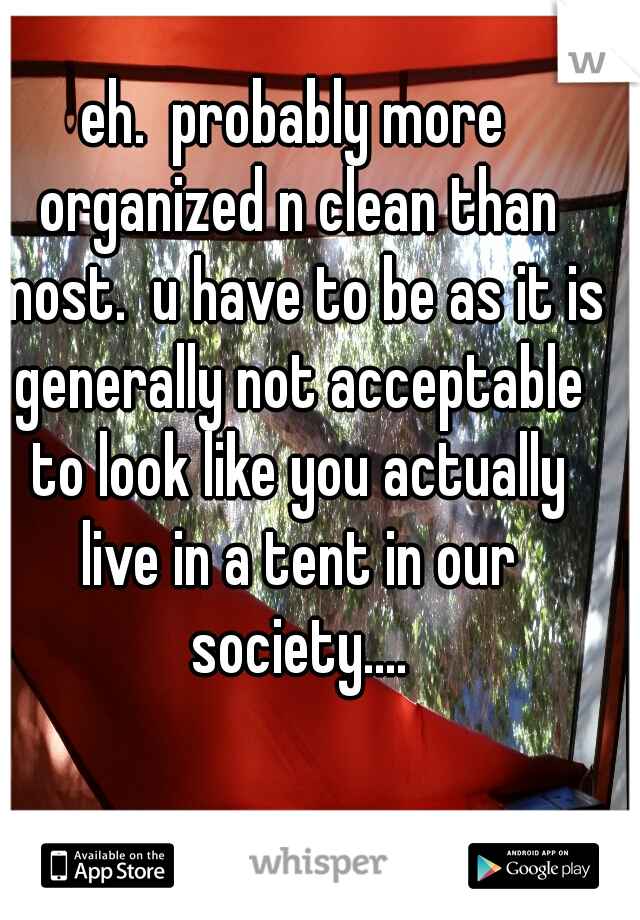 eh.  probably more organized n clean than most.  u have to be as it is generally not acceptable to look like you actually live in a tent in our society....