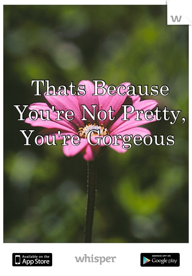Thats Because You're Not Pretty, You're Gorgeous 